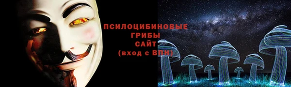 прущие крисы Армянск