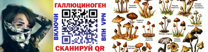 Галлюциногенные грибы Magic Shrooms  Рудня 