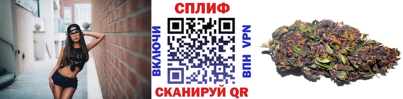 Марихуана Bruce Banner  Рудня 